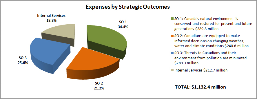 Expenses by strategic outcome (see details below)