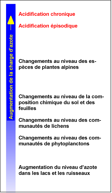 Figure 12.1 Continuum des effets des excès chroniques de dépôts d’azote sur les régions alpines. D’après Porter et Johnson (2007). (Voir la description ci-dessous)