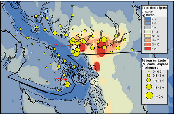 Figure 12.12 Teneur en azote (%) dans les tissus de l’espèce Platismatia glauca par rapport au total des dépôts (kg par an) annuels moyens d’azote modélisés à l’aide du modèle CMAQ pendant la période 2004-2006 (de Raymond et al., 2010). (Voir la description ci-dessous)