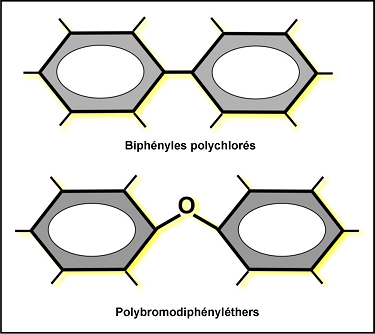 Figure 12.15 Structure de base des biphényles polychlorés (BPC) et des polybromodiphényléthers (PBDE). (Voir la description ci-dessous)