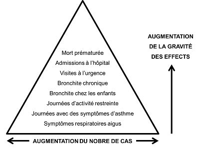 Figure 14.1 Hiérarchie des effets de la pollution atmosphérique (Bates et al., 2002). (Voir la description ci-dessous)