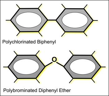 Figure 12.15 Basic structure of polychlorinated biphenyls (PCB) and polybrominated diphenyl ethers (PBDE). (See long description below)