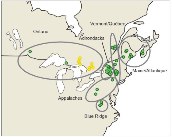Sites dans l’est de l’Amérique du Nord transmettant des données à la base de données du programme international de coopération (PIC)-Eaux (en vert) et les 13 stations supplémentaires en Ontario (jaune)