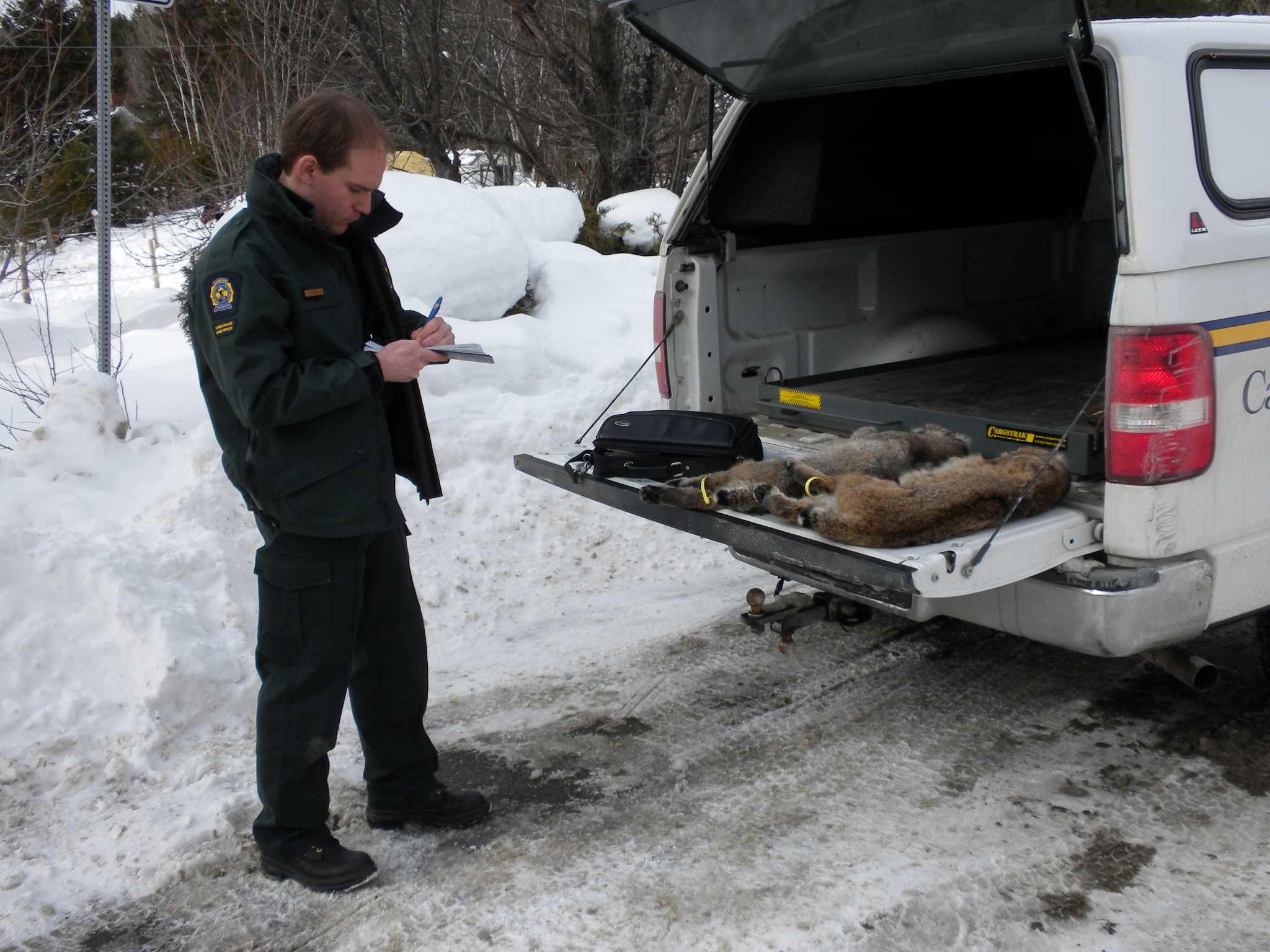 Wildlife officer during an investigation on bobcats without required CITES permits