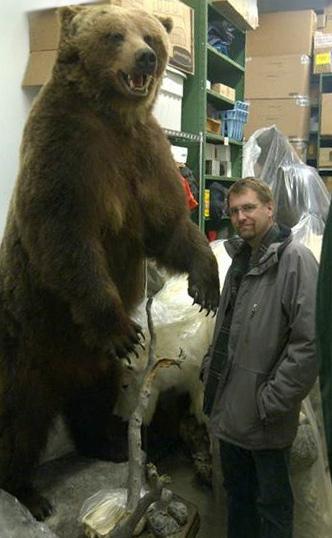 Director General Sheldon Jordan with a seized 3-metre Alaskan brown bear mount in Calgary
