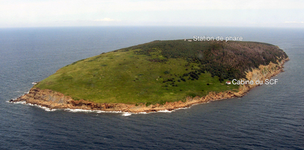 Photo aérienne de l'Île Sea Wolf. Voir description longue ci-dessous.