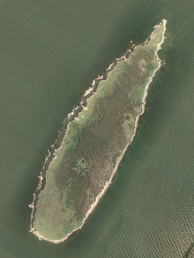 Photo aérienne de faune de l'Île Sea Wolf. Voir description longue ci-dessous.