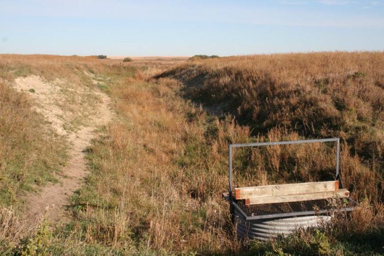 Erosion due to cattle trampling and wallowing along an artificial drainage ditch