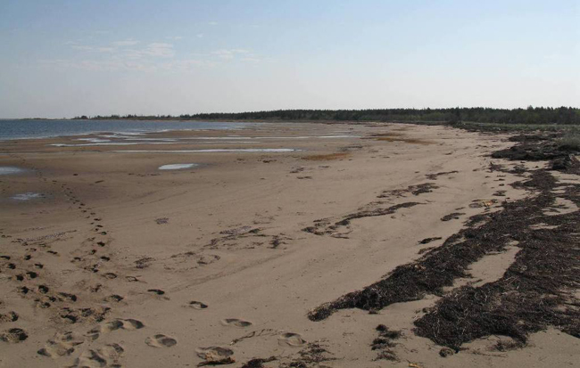 Gammon Bay, adjacent to the Portage Island NWA