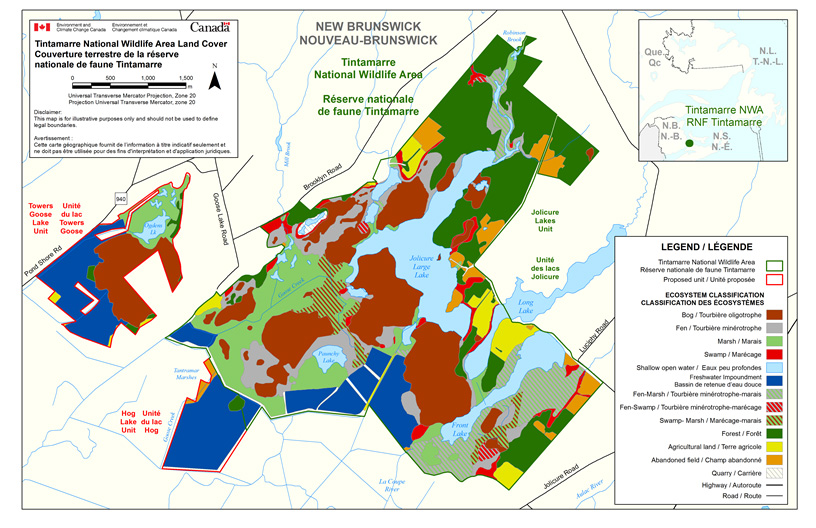 Tintamarre NWA Land Cover Map
