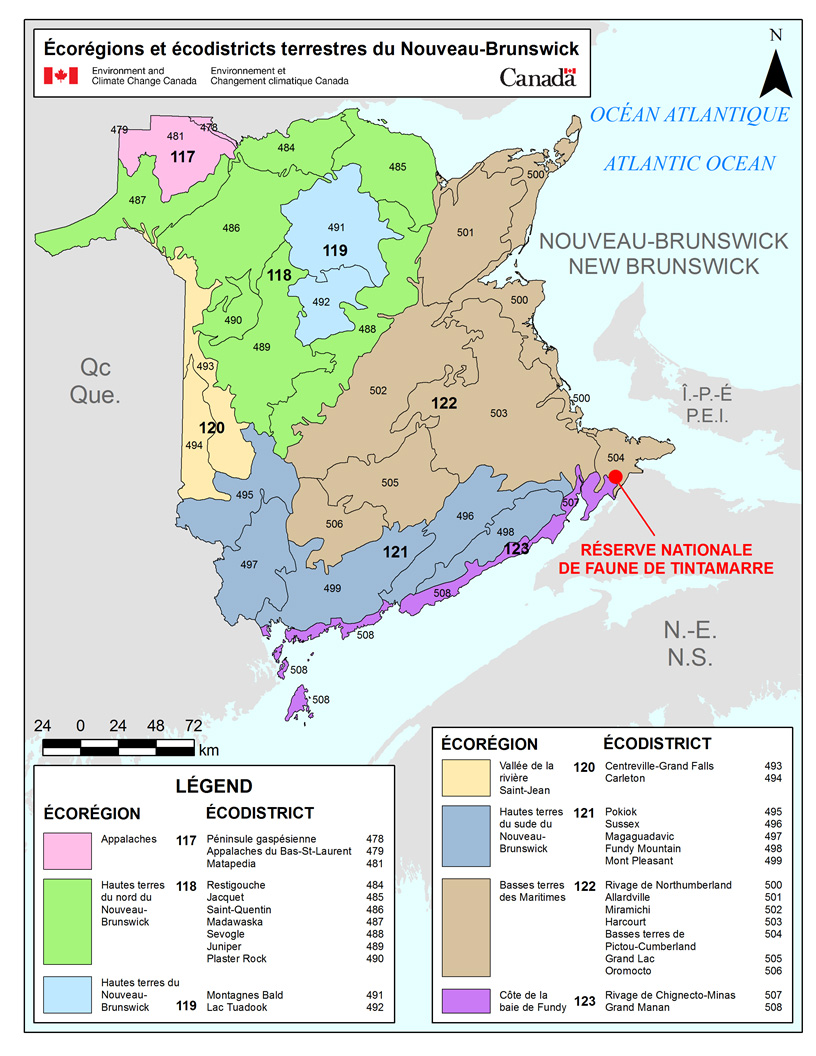 Écorégions et écodistricts terrestres du Nouveau-Brunswick