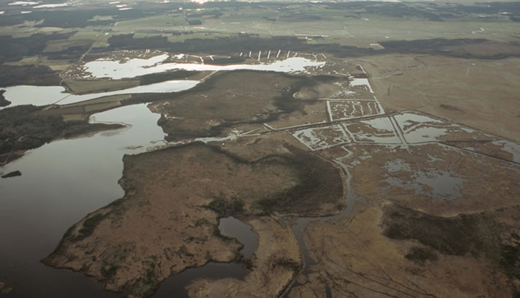 The wetland complex within the Tintamarre NWA