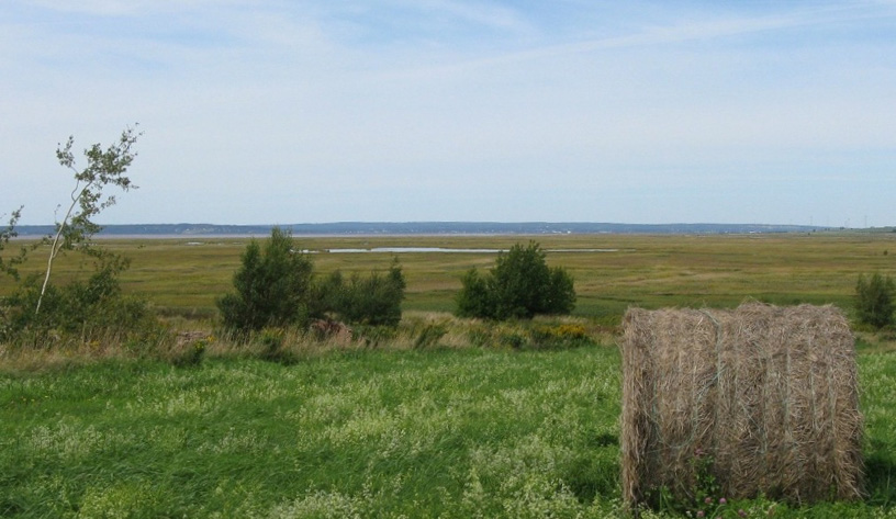 Large salt marsh ponds situated far from the uplands