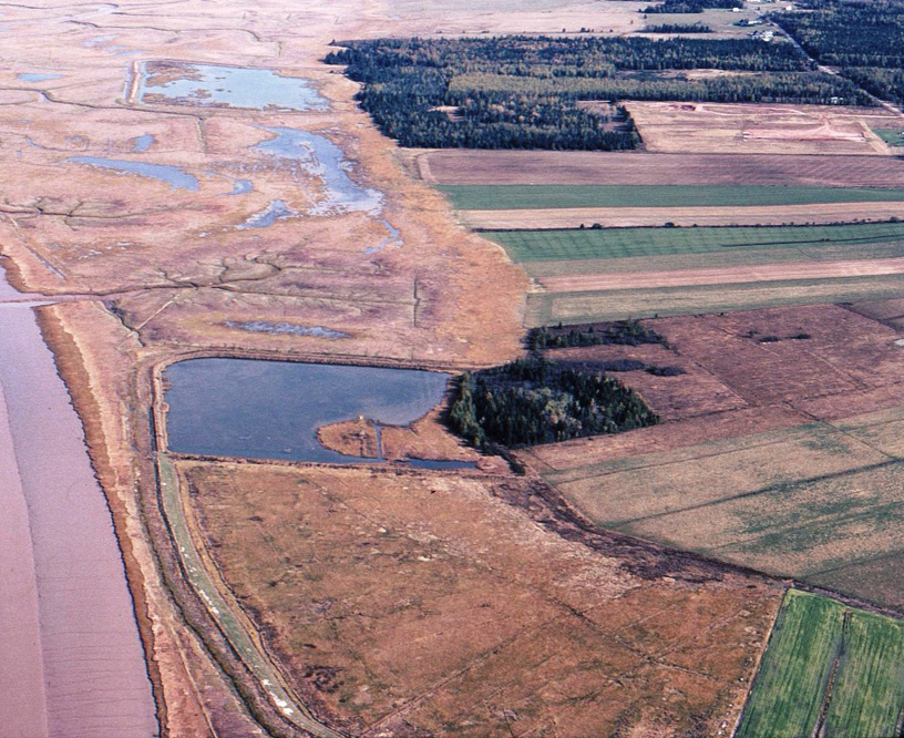 Two controlled water level impoundments