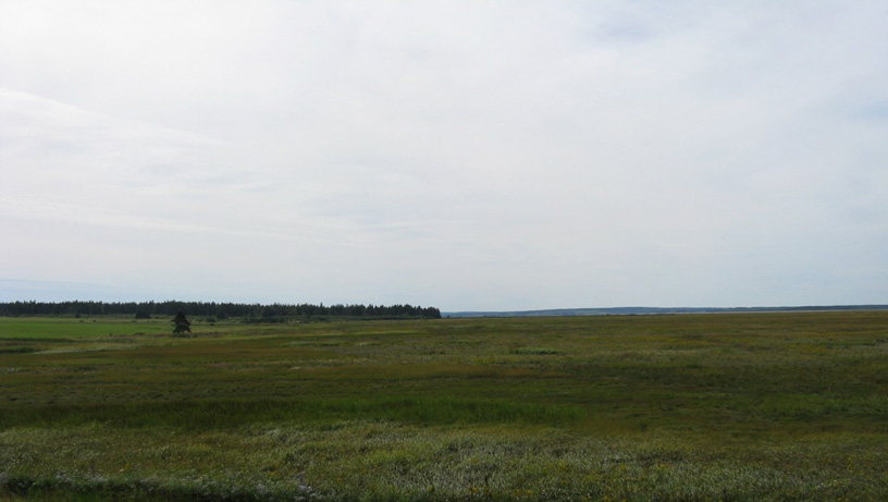The noticeably flat expanse of the salt marsh