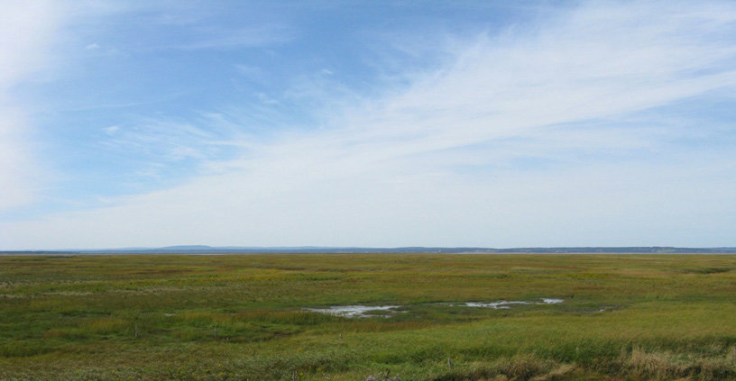 The John Lusby Marsh NWA, facing west towards Cumberland Basin