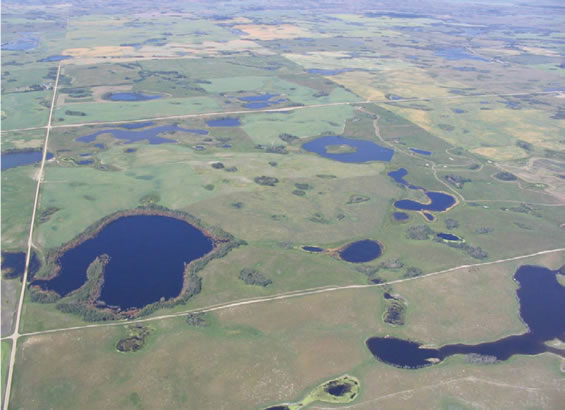 Photo of an oblique aerial view of St. Denis National Wildlife Area.