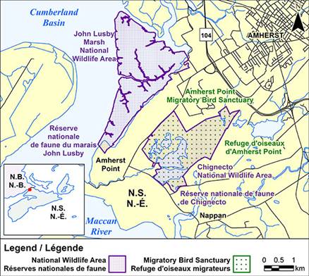 Amherst Point Migratory Bird Sanctuary - Canada.ca