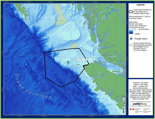 Carte de la côte de la Colombie-Britannique montrant que la réserve nationale de faune marine proposée est constituée d’une zone marine d’environ 11 546 km² autour de l’Île Triangle près du Banc Cook. Deux autres zones d’intérêt sont présentées, soit les récifs d’éponges siliceuses du détroit d’Hécate et du détroit de la Reine-Charlotte. (voir longue description ci-dessous)