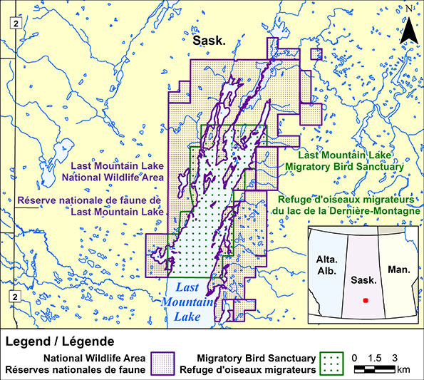 Last Mountain Lake Migratory Bird Sanctuary Canada.ca