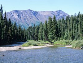 Kakwa Wildlife Provincial Park landscape