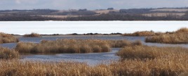 Scent Grass Lake Migratory Bird Sanctuary landscape