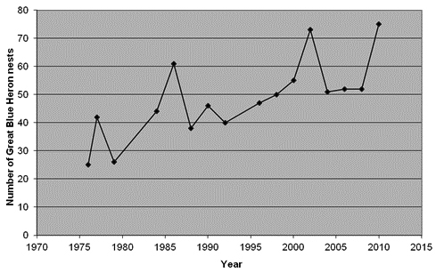 Number of Great Blue Heron nests in Boot Island National Wildlife Area