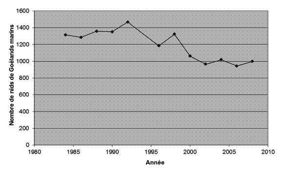 Grands goélands nids dans Boot île Réserve nationale de faune.