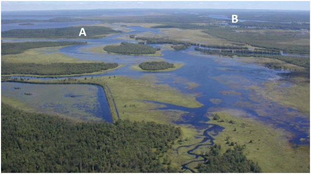 Photo of Expansive floodplain in the Portobello Creek NWA