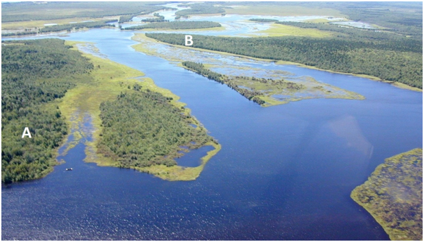 Photo of Portobello Creek floodplain becomes a maze of creeks