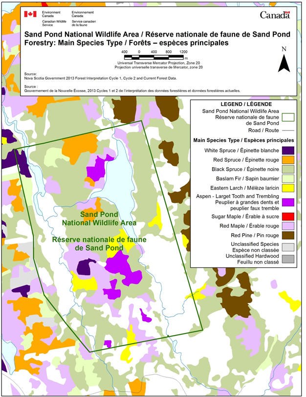 Nova Scotia Forest Resource Inventory land cover mapping for Sand Pond NWA (2005)