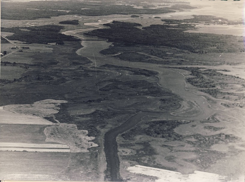 Pre-acquisition photograph of the Wallace Bay National Wildlife Area, circa 1966