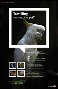 Travelling with your exotic pet?