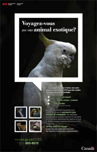 Voyagez-vous avec votre animal exotique?