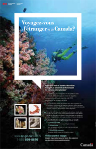 Voyagez-vous à l’étranger ou au Canada?