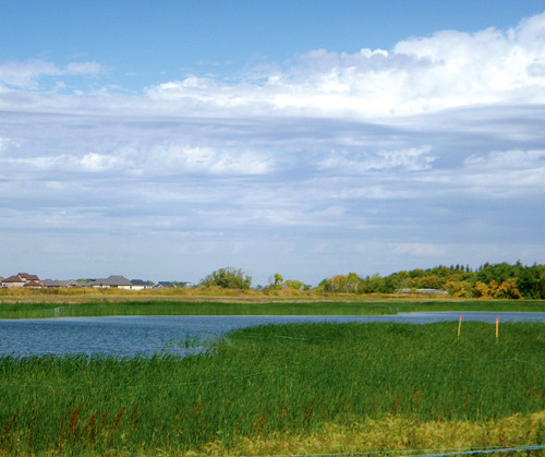 Image of wastewater lagoon in Niverville, Manitoba