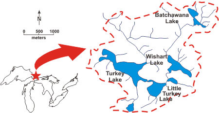 Map of Figure 1:  Location of Turkey Lakes Watershed.  Turkey Lake is the last and largest lake in the chain.