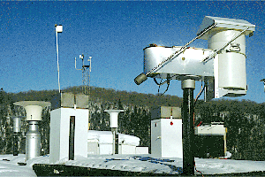 Picture of the precipitation collectors in the Turkey Lakes Watershed.