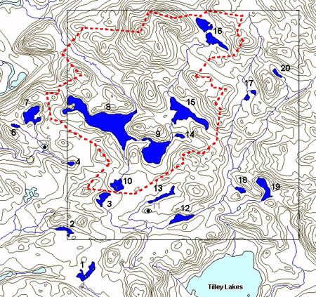 Map of Figure 2: CWS-OR LRTAP Biomonitoring Program Plot 2, with the outline of the Turkey Lakes Watershed in red