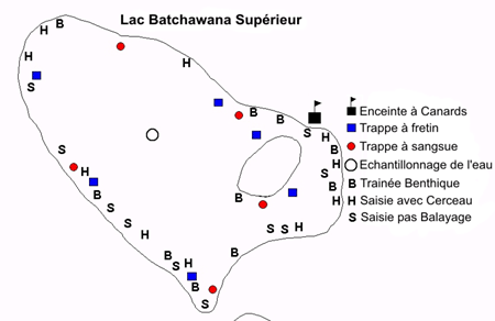 Carte de Figure 4: Site d'Échantillonnage au lac Batchawana pour le programme de surveillance des chaines alimentaires SCF-TADPA