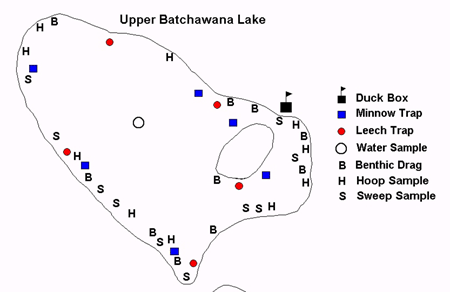 Map of Figure 4: Sample sites in Upper Batchawana Lake for the CWS-OR Food Chain Monitoring Program