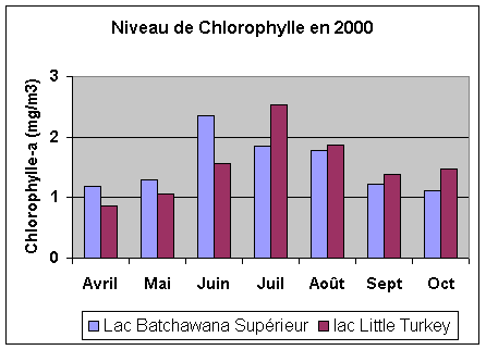 Graphique de Concentrations de Chlorophylle-a mesurée dans deux des lacs durant la saison sans glaces de 2000.