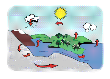 Picture of Forest Hydrology