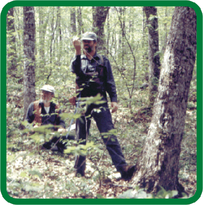 Picture of Figure 2: Forest Harvesting