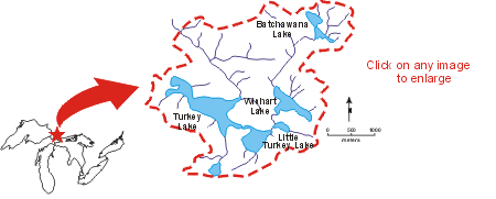 Map of Turkey Lakes Watershed Basin