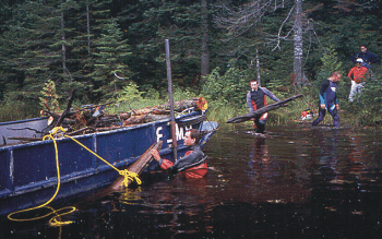 Picture of Figure 2: Quinn Lake - 1999 Removal of all nearshore coarse woody debris (<2m depth) from 50% of the shoreline. Picture of Figure 2: Quinn Lake - 1999 Removal of all nearshore coarse woody debris (<2m depth) from 50% of the shoreline.