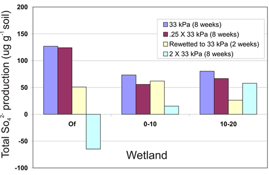 Picture of Figure 1: Sulfate and inorganic nitrogen production in upland and wetland soils.