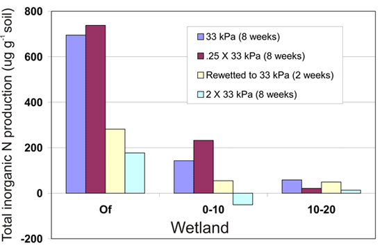 Picture of Figure 1: Inorganic nitrogen production in wetland soils.