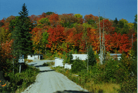 Image de Route d'accès au BLT, à l'entrée des installations, juste au sud du bassin.