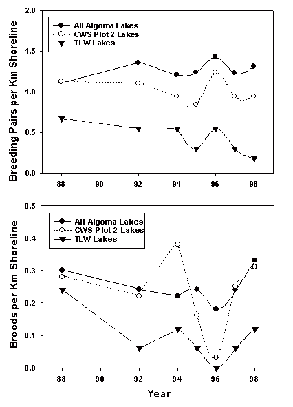 Graph of Figure 1: Observed numbers of waterbirds per kilometre of shoreline in Algoma lakes, Plot 2 lakes, and lakes in the Turkey Lakes Watershed (TLW).